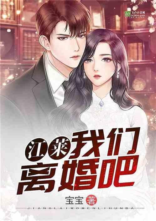 江莱，我们离婚吧！封面