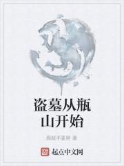 盗墓从瓶山开始封面
