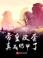 帝皇皮套真成铠甲了封面
