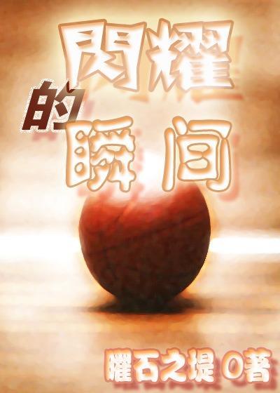 闪耀的瞬间封面