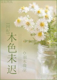 [网配]木色未迟封面