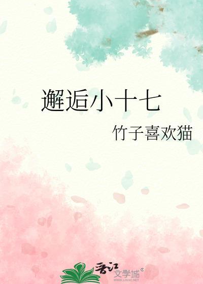 邂逅小十七封面