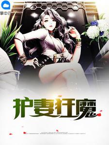 护妻狂魔封面