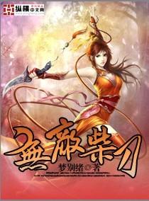无敌柴刀封面