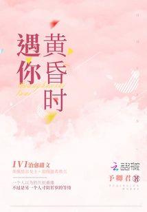 黄昏时遇你封面