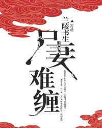 尸妻难缠封面