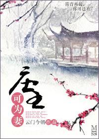 庄主可为妻封面