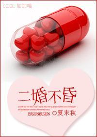 二婚不昏（婚恋）封面