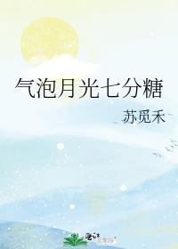 气泡月光七分糖封面