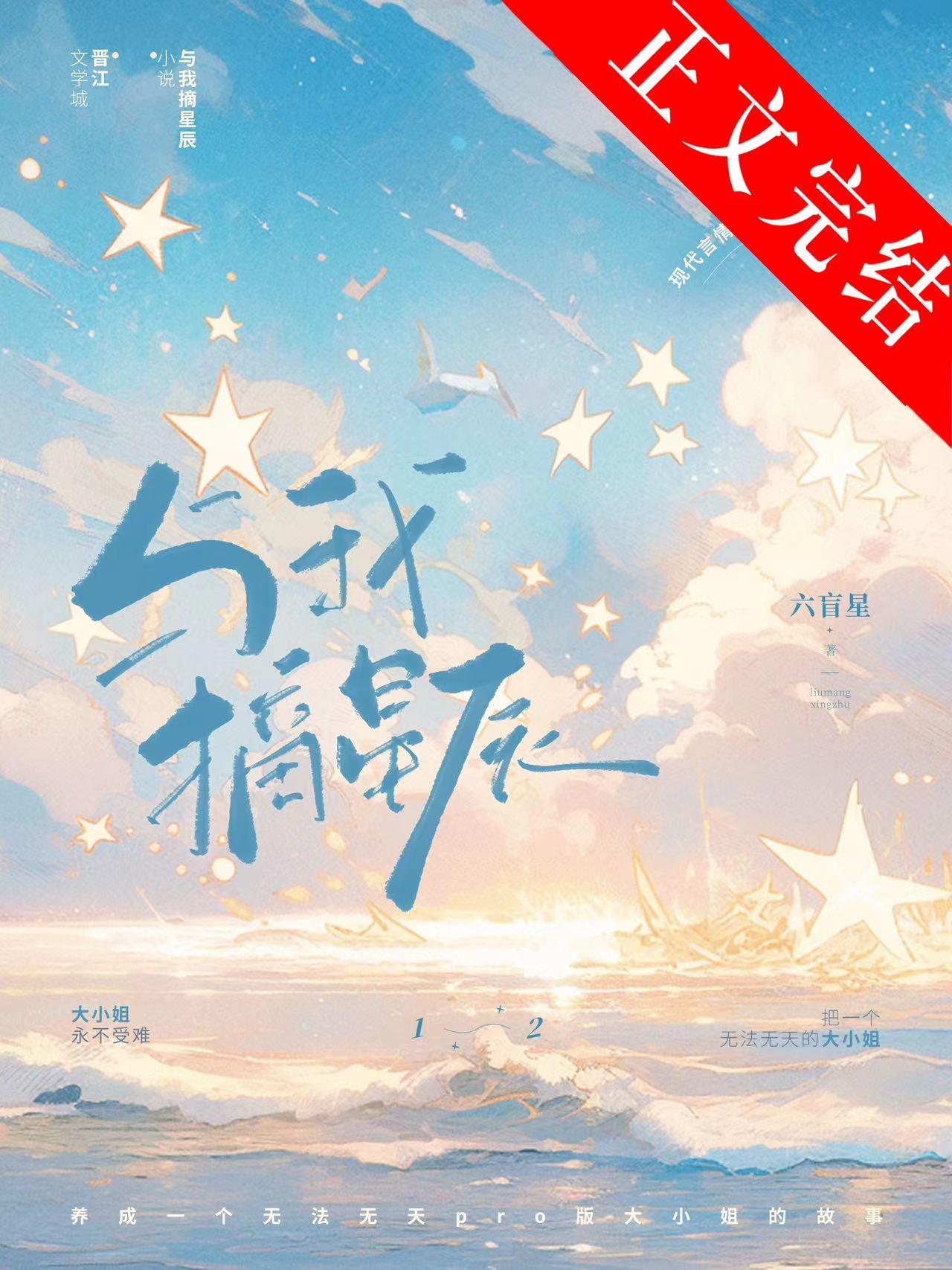 与我摘星辰封面