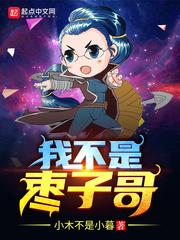 我不是枣子哥封面