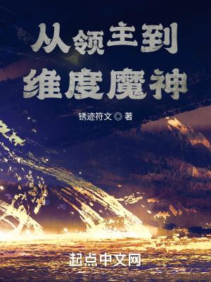 从领主到维度魔神封面