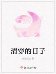 清穿的日子封面