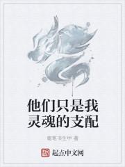 陆医生的心上人封面