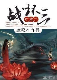 红楼之战环三封面