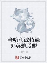 当哈利波特遇见英雄联盟封面