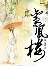 鸾凤楼封面