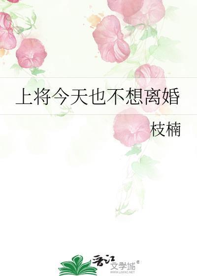 上将今天也不想离婚封面