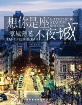 想你是座不夜城封面
