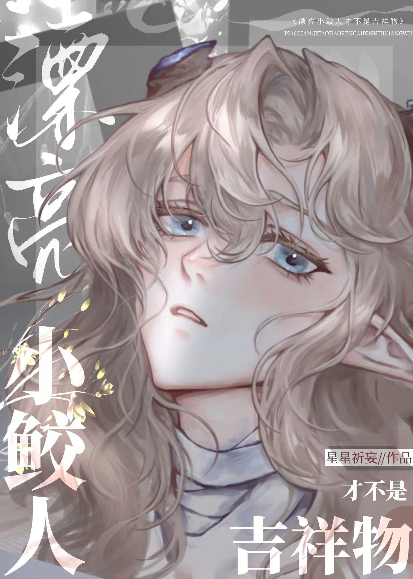 漂亮小鲛人才不是吉祥物封面