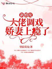 新婚夜，大佬调戏娇妻上瘾了封面
