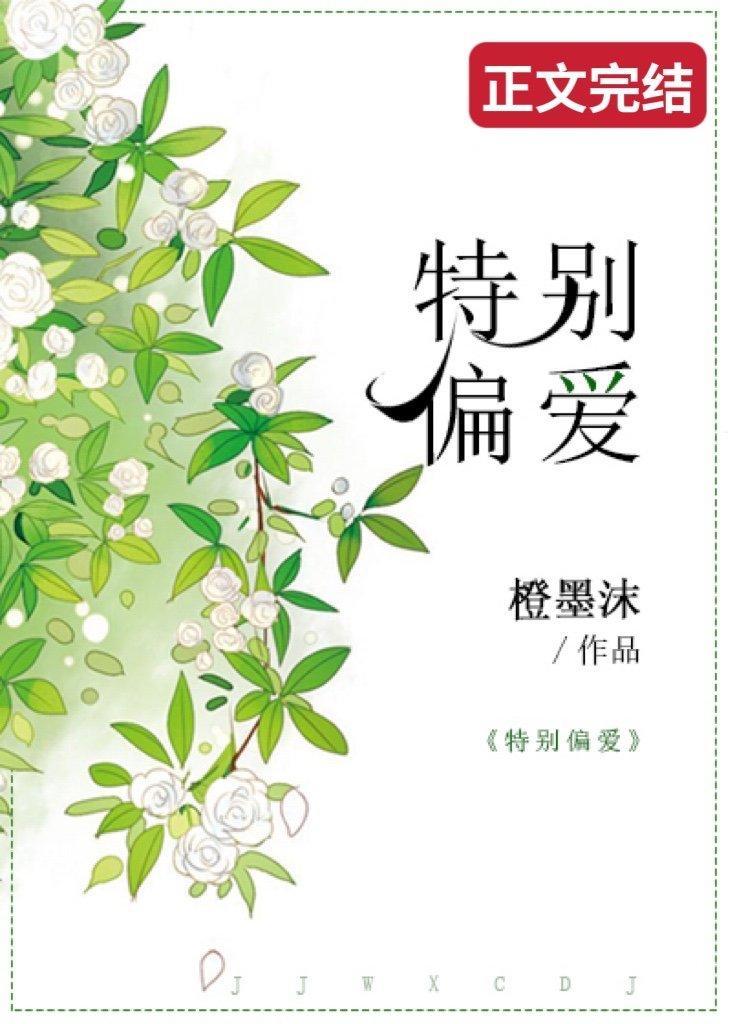 特别偏爱封面