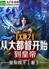大唐从大都督开始到皇帝封面
