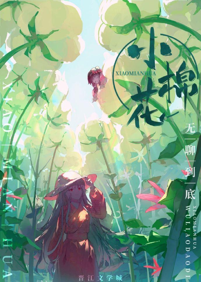 小棉花封面
