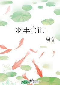 羽丰命诅封面
