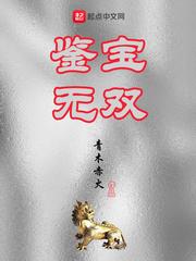鉴宝无双封面