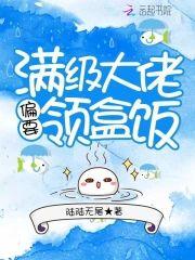 满级大佬偏要领盒饭封面