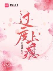 过度上瘾封面