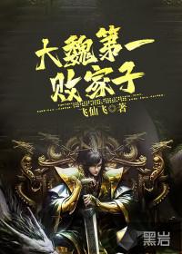 秦宣魏贤封面