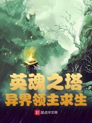 英魂塔防：异界领主求生封面