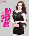 女神的贴身男秘封面