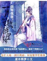 烟雨微微：一片笙歌醉裏归封面