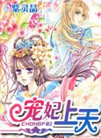 宠妃上天封面