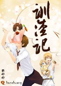 训渣记封面