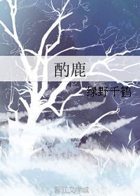 酌鹿封面