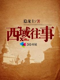 西域往事封面