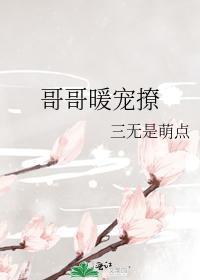 哥哥暖宠撩封面