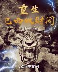 重生巴西做财阀封面