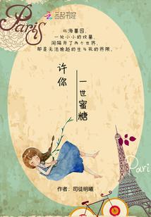许你一世蜜糖封面