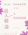误入婚途[娱乐圈]封面