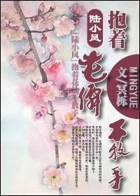 陆小凤之抱着花仙不放手封面