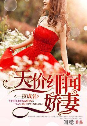 一夜成名：天价绯闻娇妻封面