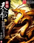 紫极天帝封面