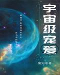 宇宙级宠爱封面
