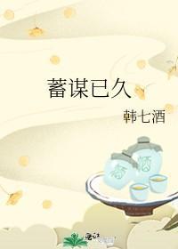 蓄谋已久封面