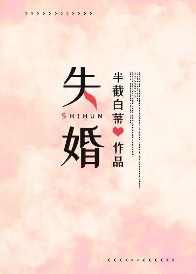 失婚封面